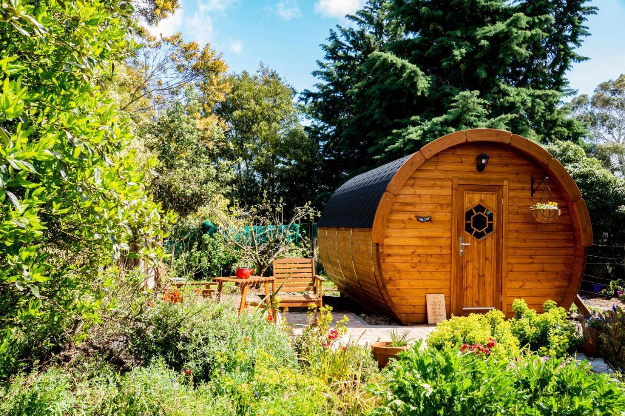 Marlborough Wine Barrel Cabins Blenheim Exterior photo