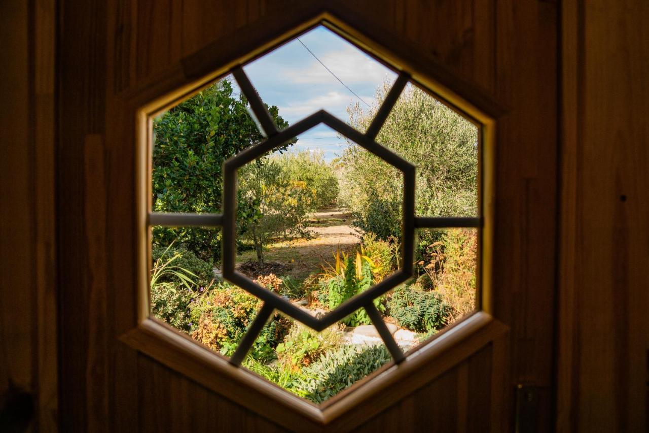 Marlborough Wine Barrel Cabins Blenheim Exterior photo