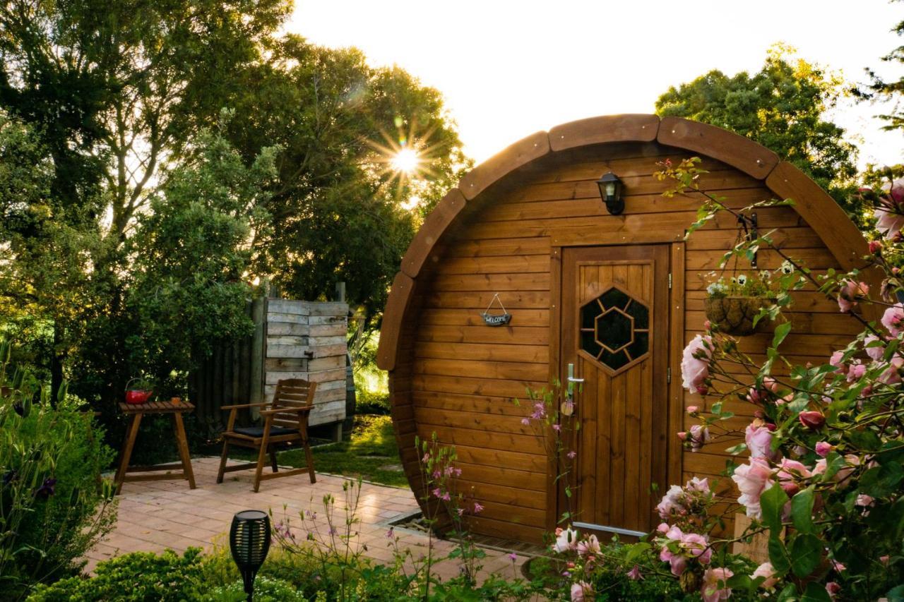Marlborough Wine Barrel Cabins Blenheim Exterior photo